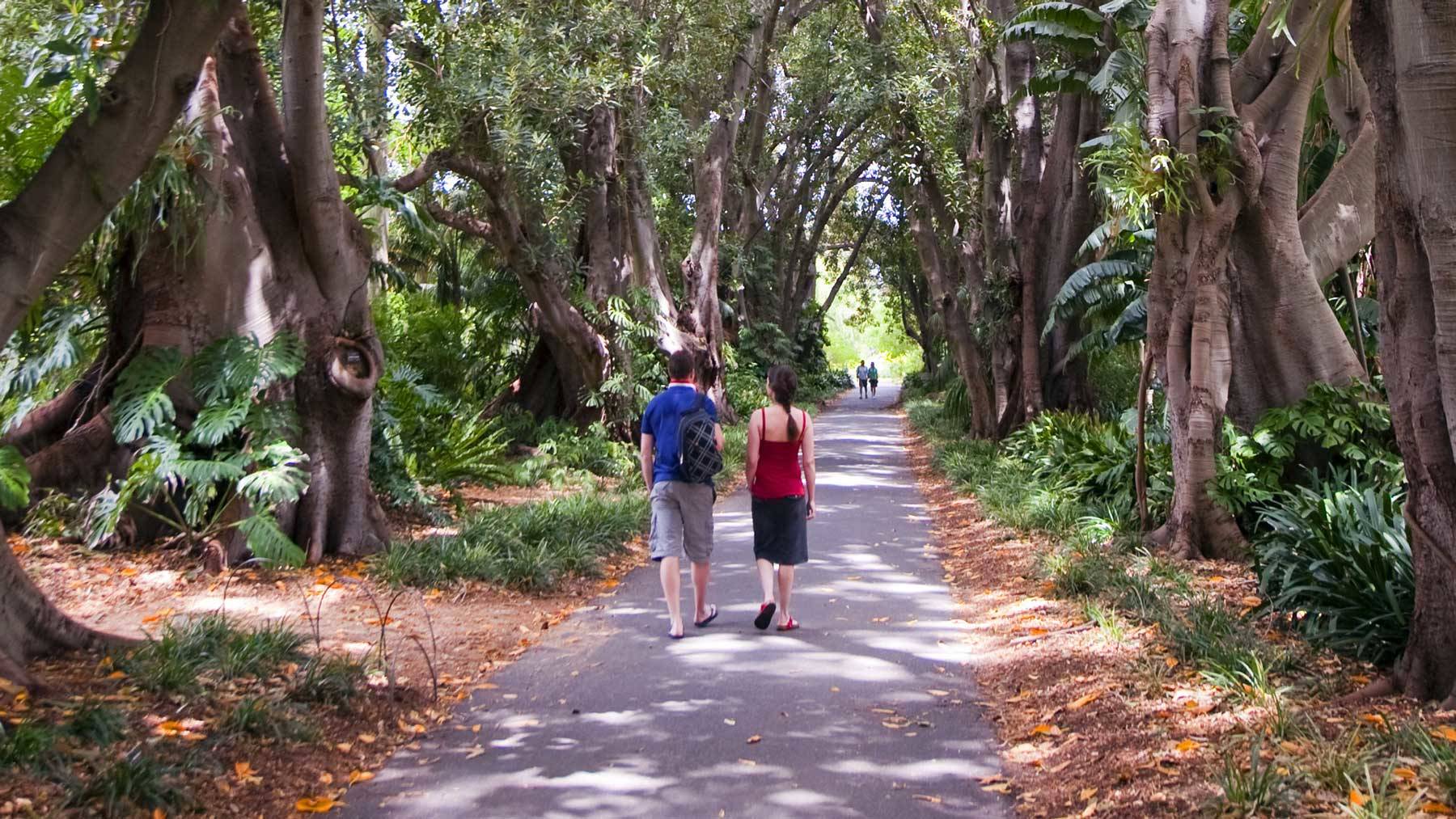 ADELAIDE BOTANIC GARDENS Majestic Old Lion Apartments